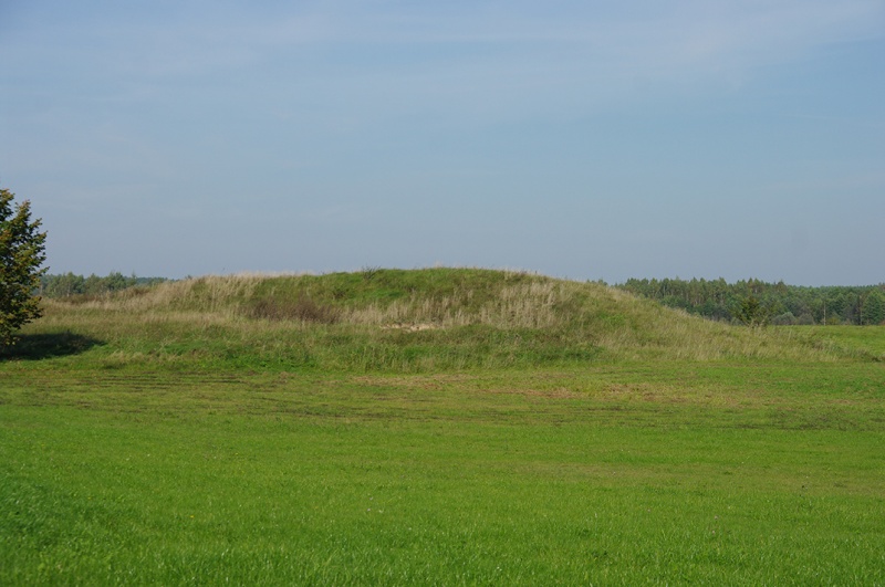 Vaizdas:Guroniu alkakalnis Zvaninycia 2010.jpg