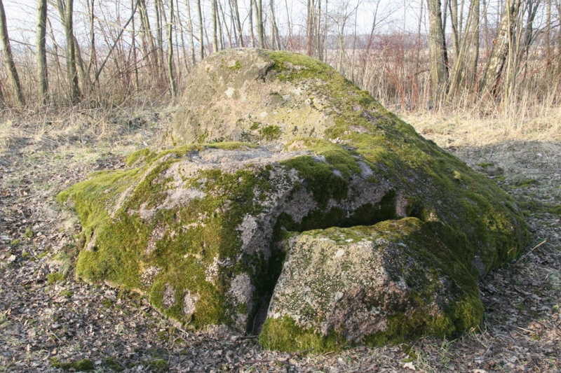 Vaizdas:Laukagalio Did galerjai 1.jpg