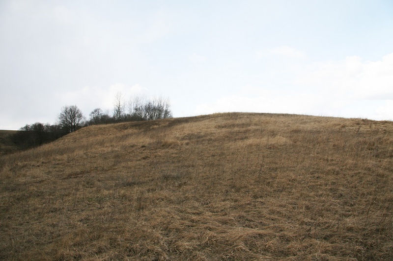 Vaizdas:Paparteliu piliakalnis 2009.jpg