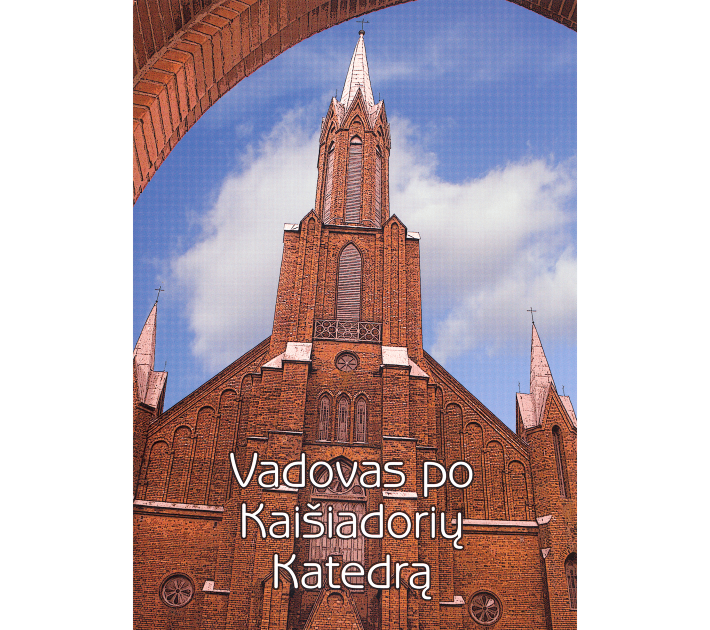 vadovas_katedra_7613-23590b6468cfae68291b83bb3af96919.png